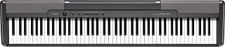ЦИФРОВОЕ ПИАНИНО CASIO CDP-100