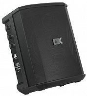 Акустическая система DK iC-150II
