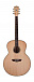 АКУСТИЧЕСКАЯ ГИТАРА WASHBURN WJ25S