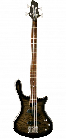 БАС-ГИТАРА WASHBURN T14Q TB