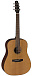 Акустическая гитара BATON ROUGE L1C/D (Уценка)
