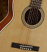 Акустическая гитара CORT L100P NS