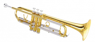 ТРУБА С КЕЙСОМ MAXTONE TTC-236