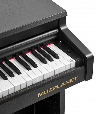 Цифровое пианино MUZPLANET YDP-145B
