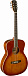 Акустическая гитара J.N BES-A DCB