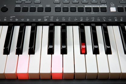 Синтезатор KURZWEIL KP90L LB