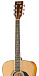 Акустическая гитара HOMAGE LF-4111-N