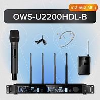 Радиосистема ОКТАВА OWS-U2200DL-B (универсальная)