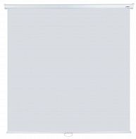 Экран Lumien Eco Picture LEP-100103