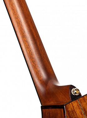Электроакустика CORT LUXE-NYLON-II-WCASE-BKB