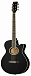 Акустическая гитара HOMAGE LF-401C-B