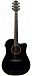 Электроакустика CRAFTER HD-250 CE/BK