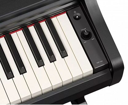 Цифровое пианино YAMAHA YDP-166B Arius