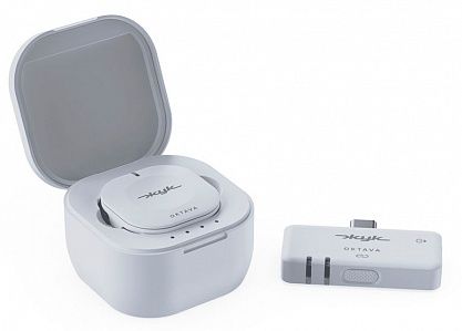 Радиосистема Октава ZHUK-1-B Жук-1-Б