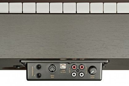 Цифровое пианино Becker BDP-82R