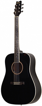 АКУСТИЧЕСКАЯ ГИТАРА WASHBURN D10SBK