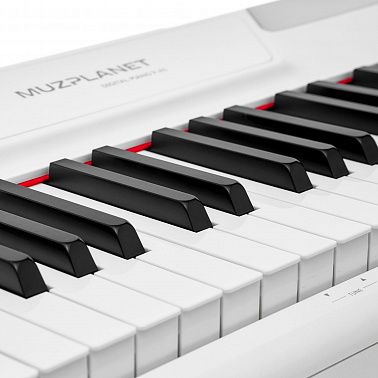 Цифровое пианино MUZPLANET P-45WH