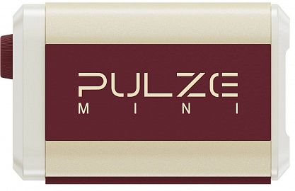 Комбоусилитель Hotone Pulze Mini