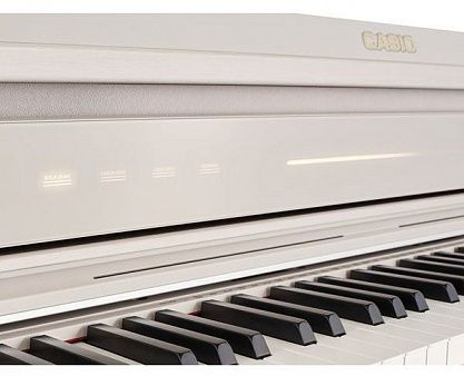 Цифровое пианино CASIO AP-750GB