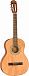 Классическая гитара FENDER FA-25N WN NAT