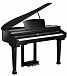 Цифровой рояль KURZWEIL KAG100 EP