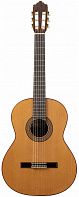 Классическая гитара Altamira N300+