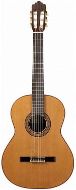 Классическая гитара Altamira N300+