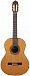 Классическая гитара Altamira N300+