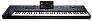 Аранжировочная станция KORG PA5X-76