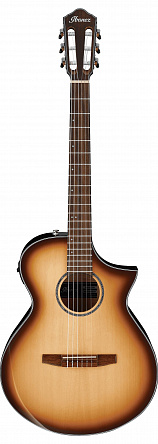 Электроакустика IBANEZ AEWC300N-NNB