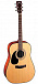 Акустическая гитара CORT AD810-LH-OP