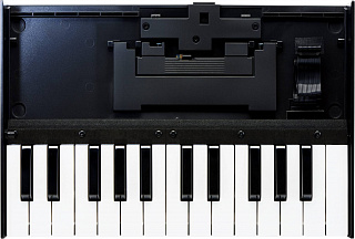 Клавиатура ROLAND K-25m