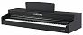 Цифровое пианино Aurora AU110-BK