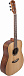 Акустическая гитара BATON ROUGE AR11C/D-W