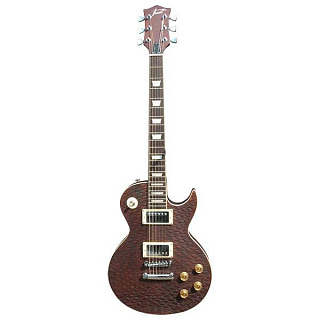 ЭЛЕКТРОГИТАРА INVASION LP270/WOP