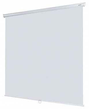 Экран Lumien Eco Picture LEP-100103