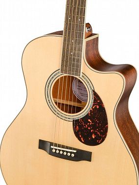 Электроакустика Root Note RGA300CE-NS