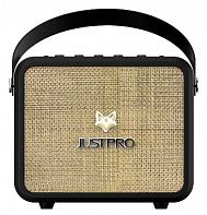 Комбоусилитель Justpro Fox-150-BK
