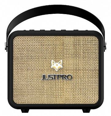 Комбоусилитель Justpro Fox-150-BK