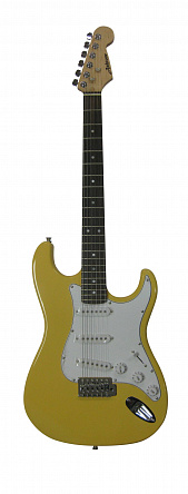 ЭЛЕКТРОГИТАРА PHIL PRO STL-F12 BK