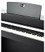 Цифровое пианино Beisite B-808 Pro BK