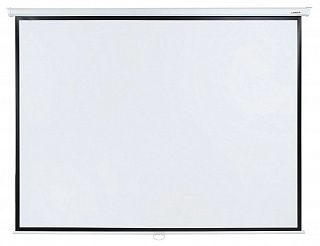 Экран Lumien Eco Picture LEP-100113