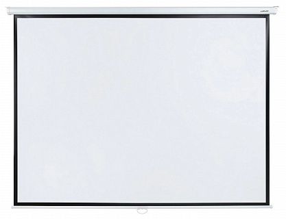 Экран Lumien Eco Picture LEP-100113