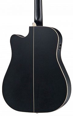 Электроакустика Root Note RD300CE-BK