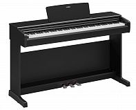 Цифровое пианино YAMAHA YDP-146B Arius