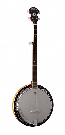 БАНДЖО WASHBURN B9N