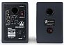 Мониторы AuraSonics KN3.5 (пара)