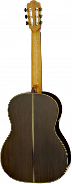 Классическая гитара ARIA S205