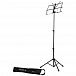 ПЮПИТР PROEL RSM600
