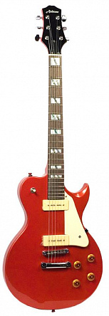 ЭЛЕКТРОГИТАРА ASHTONE AE-609